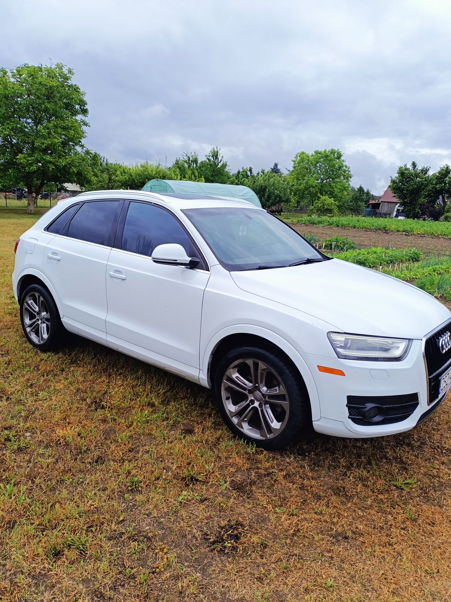 Audi Q3 wersja prestige