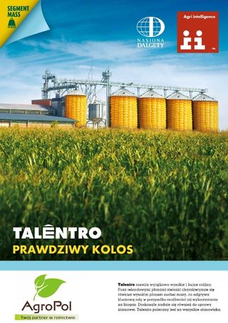Kukurydza TALENTRO - Rewelacyjna Odporność Na Suszę Nasiona Saatbau