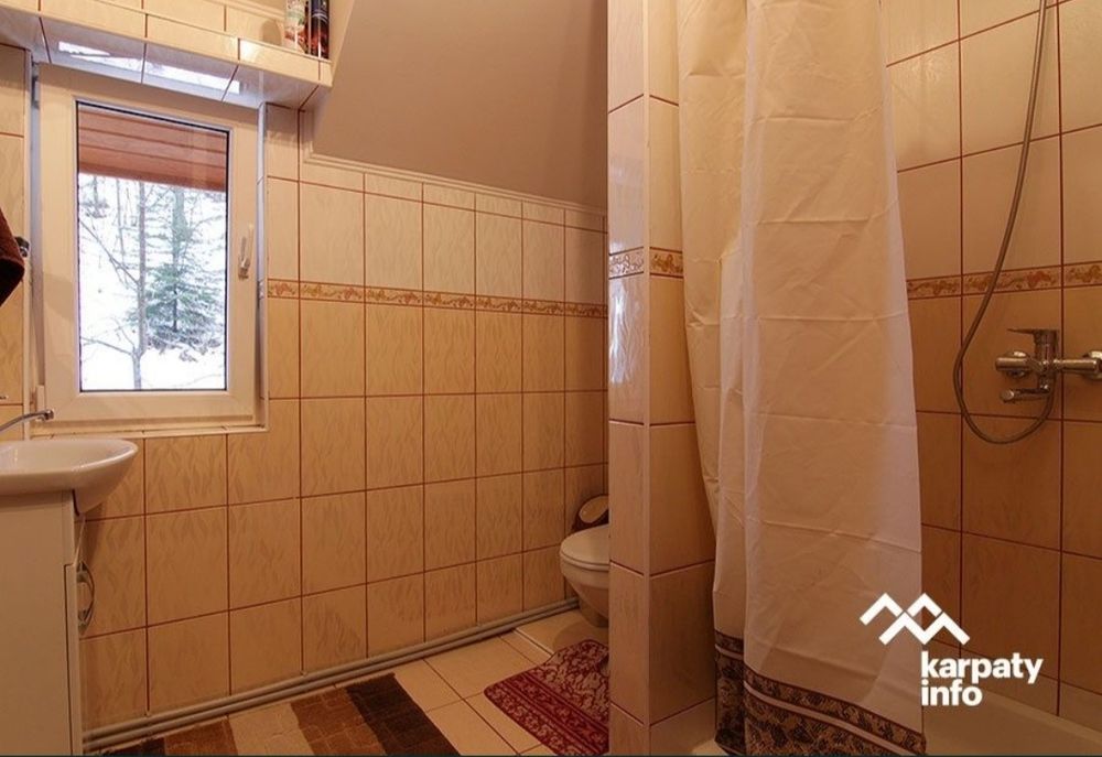 Відпочинок в Карпатах