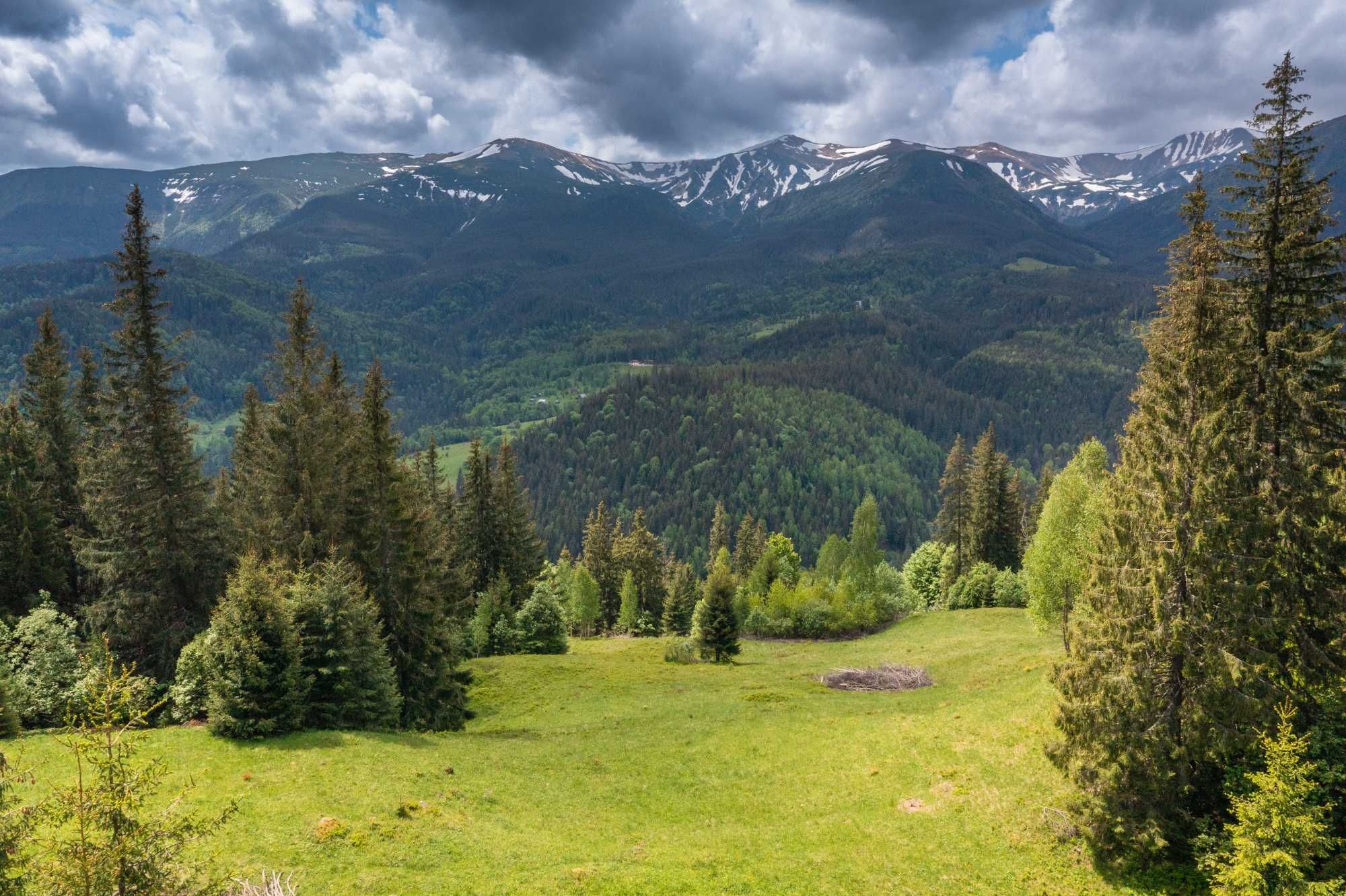 Земельна ділянка в с. Бистрець (Верховинска ОТГ) 313 сот