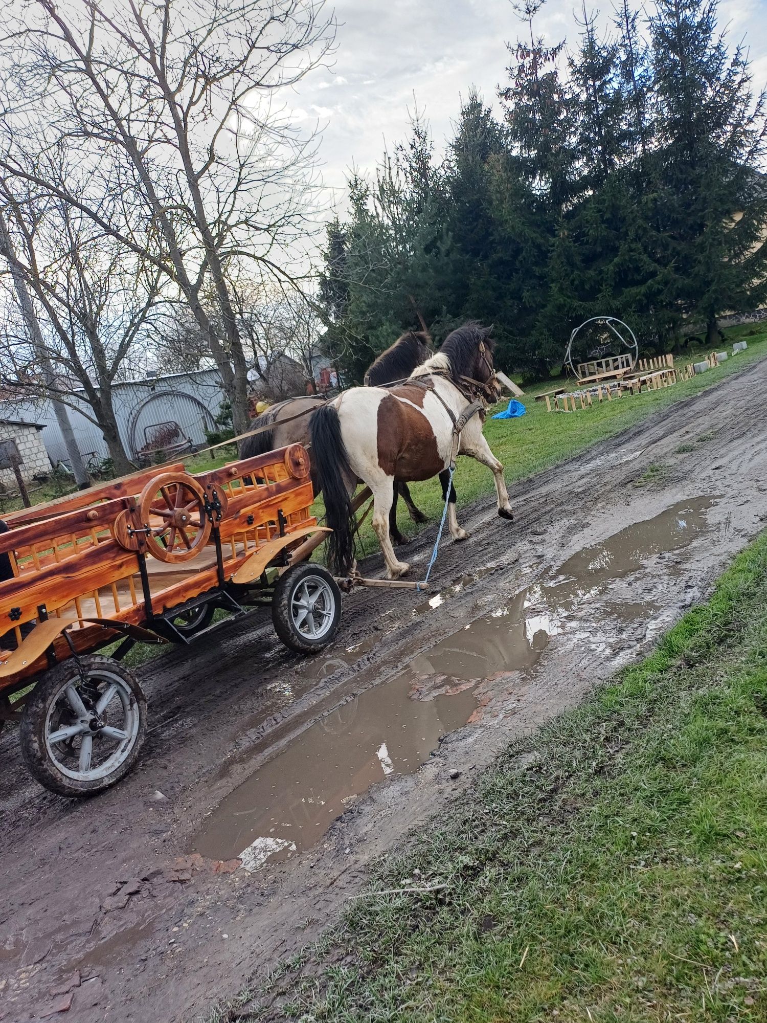 Sprzedam bryczkę konną