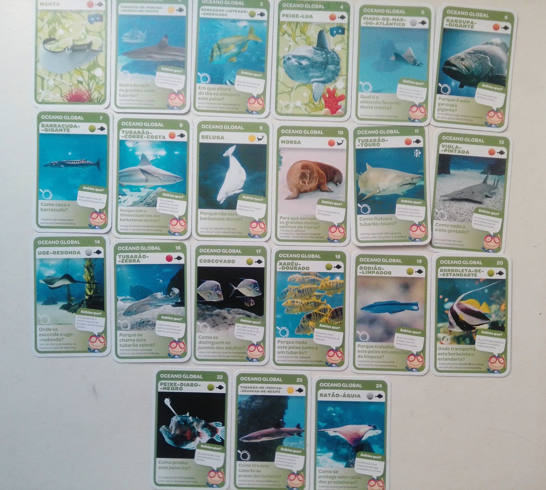 Cartas Super animais e Desportos.