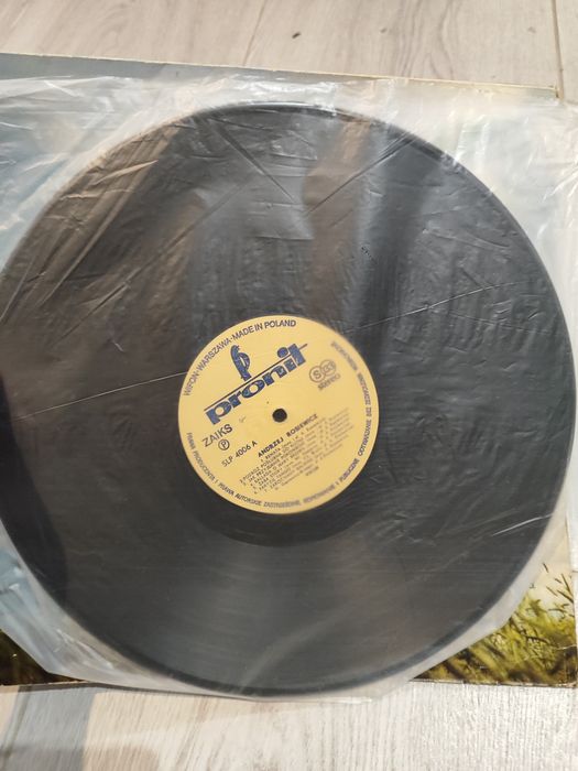 Andrzej Rosiewicz Ufo