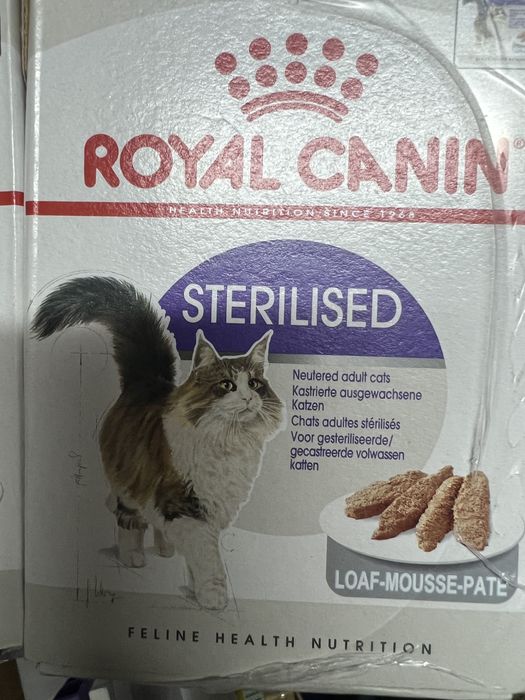 Royal  CANIN STERILISED saszetki mokra karma pasztet kot