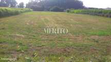 Terreno agrícola a beira do Rio Ave