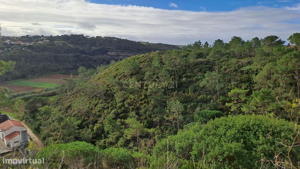 Terreno Rústico em Fonte Boa da Brincosa, Carvoeira -  Mafra