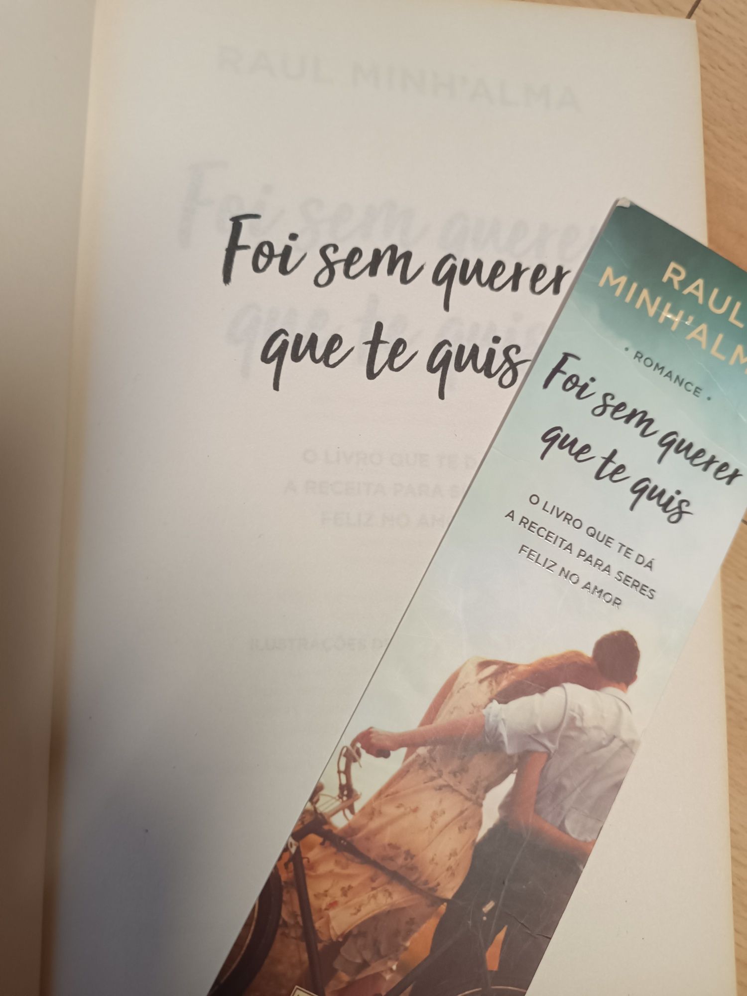 Foi sem querer que te quis - Raul Minh'alma
