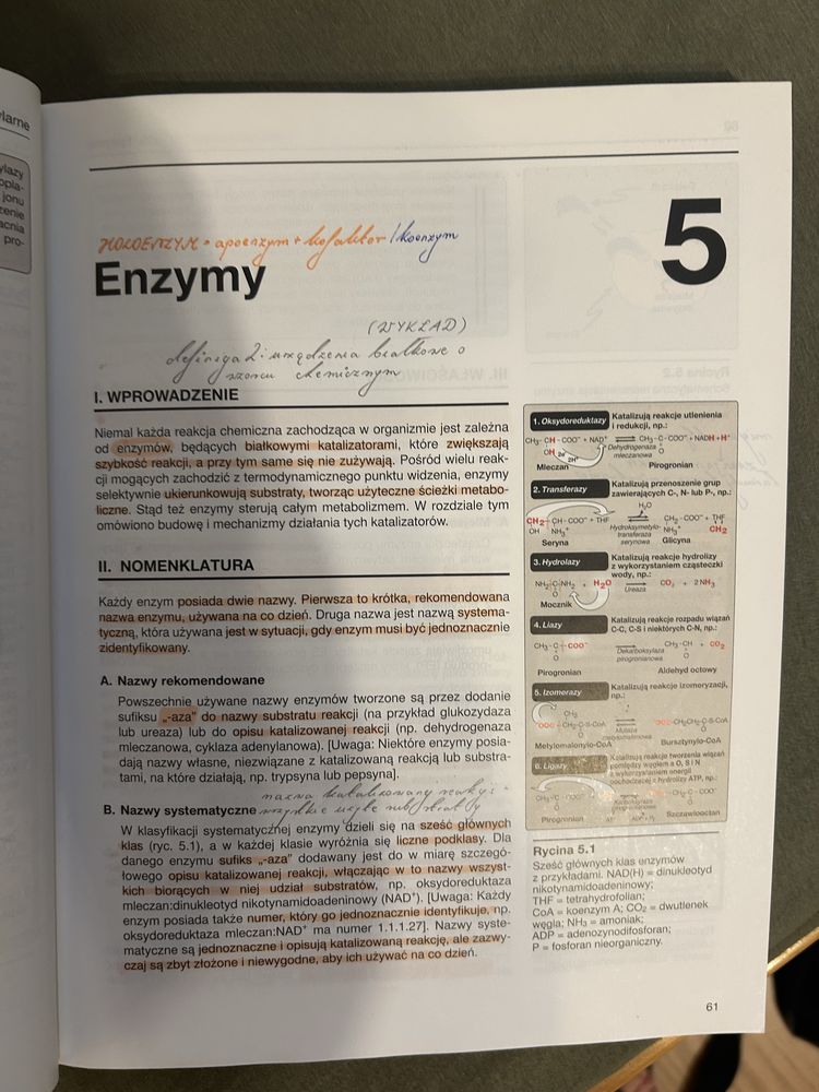 Biochemia Lippincott
