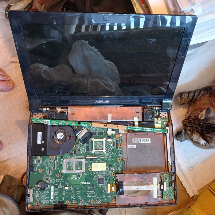 Ноутбук Asus N 53 S.
