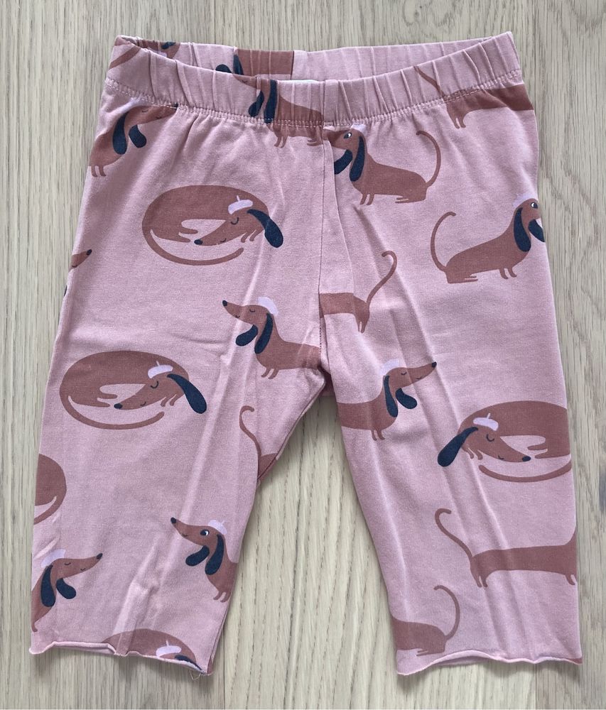 Legginsy 1/2 krótkie spodenki jamniki KappAhl r. 122