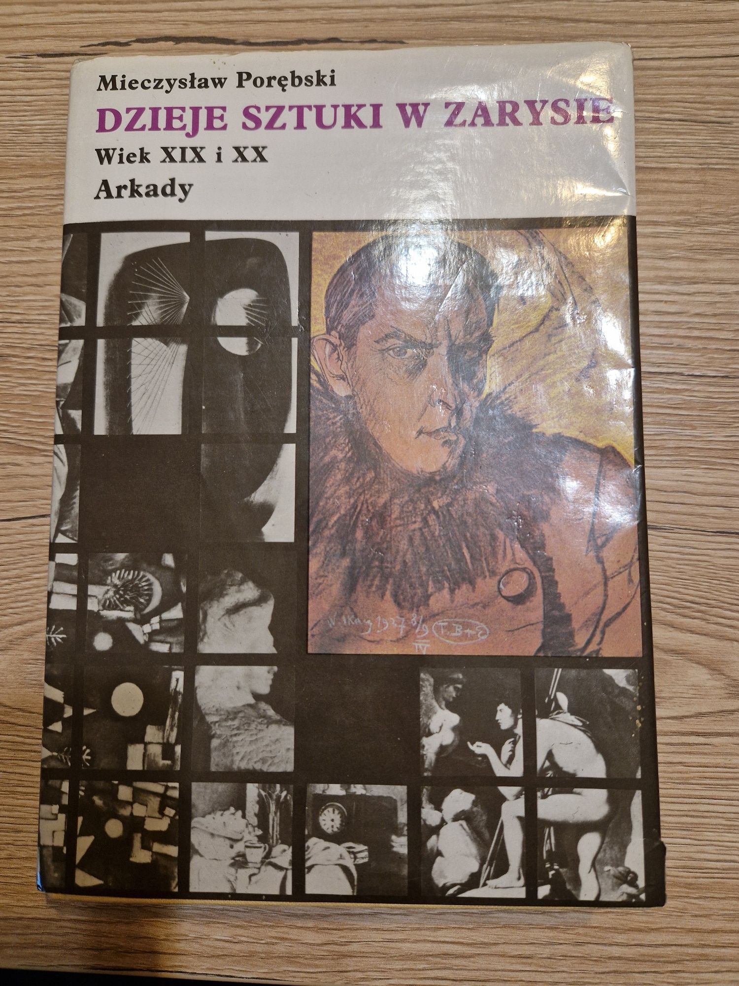 Książka "Dzieje sztuki w zarysie. Wiek XIX i XX" Mieczysław Porębski
