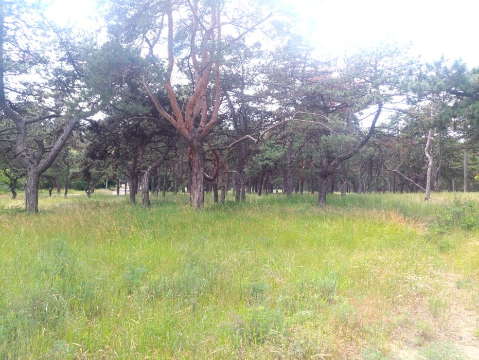 Продам мальовничий участок на ж/м Придніпровськ.