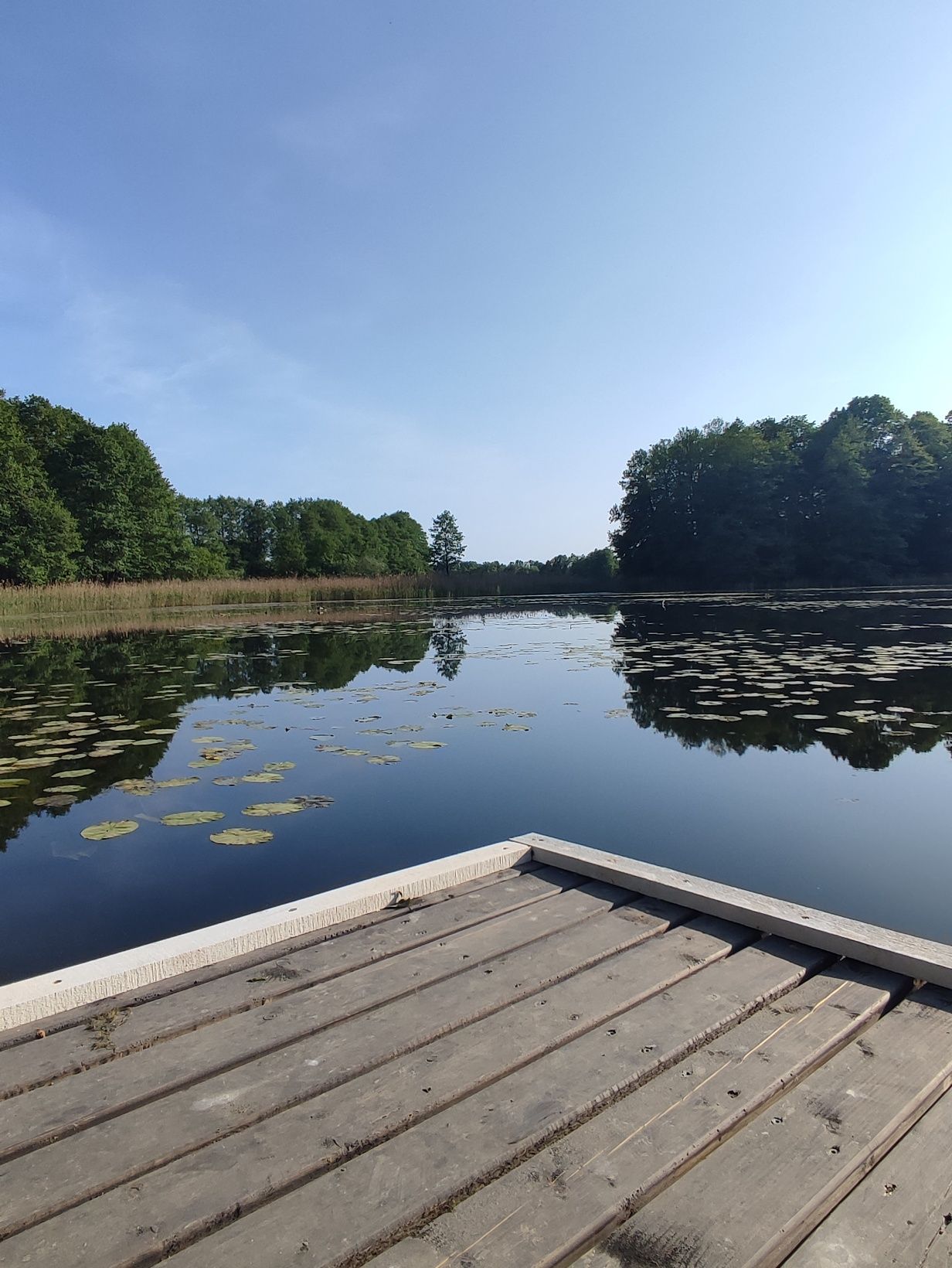 Domek letniskowy całoroczny z basenem, banią ruską i sauną - na Mazura