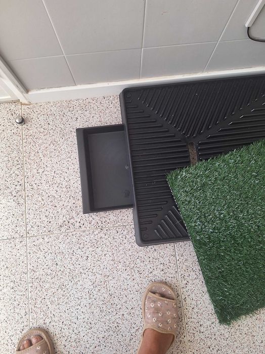 Sanitário para cão