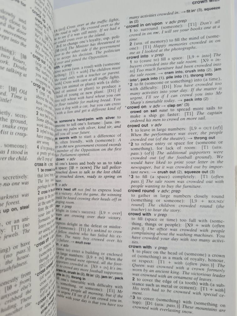 Longman dictionary of phrasal werbs - Rosemary Courtney