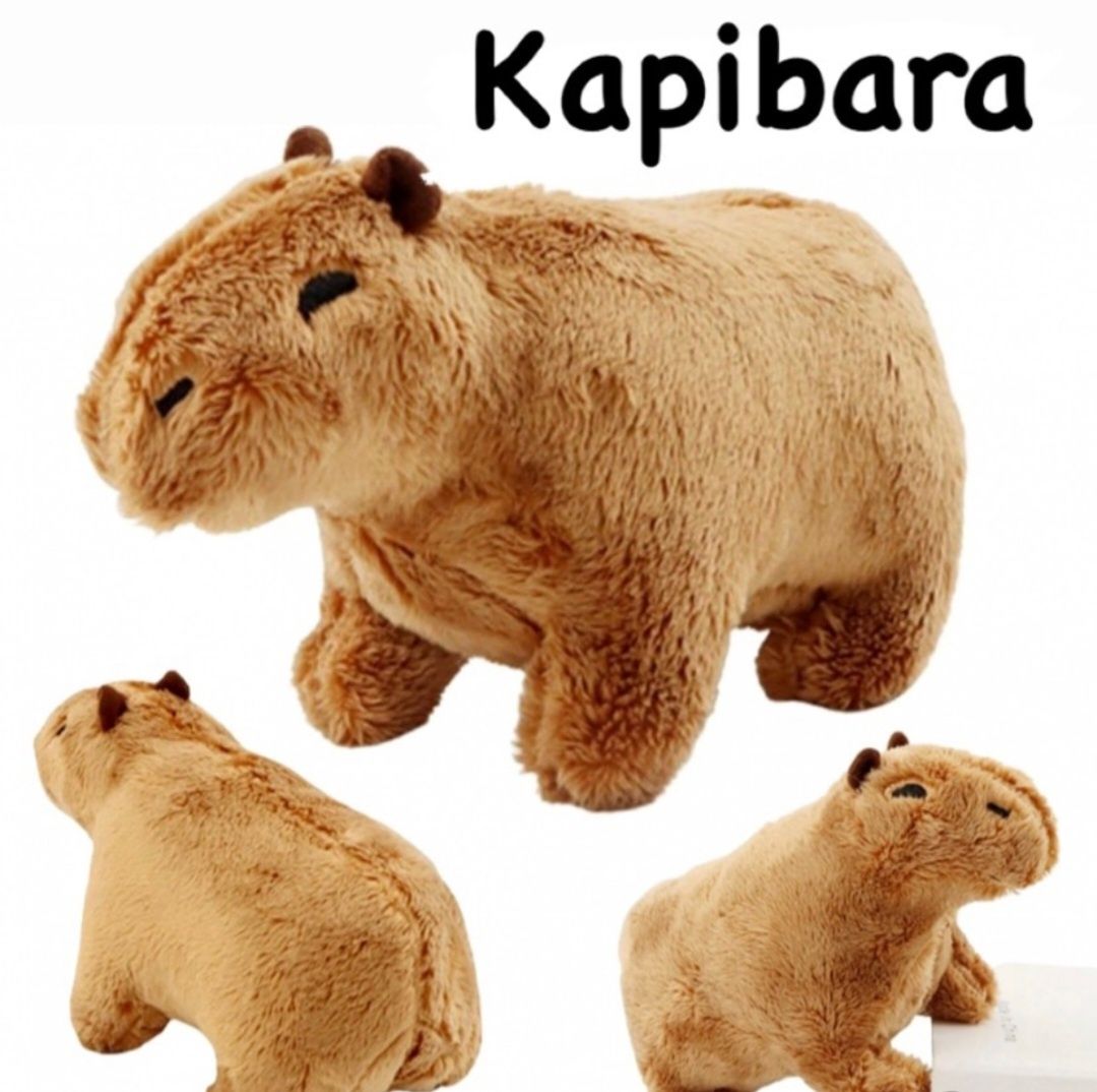 Kapibara Maskotka 33cm Sklep