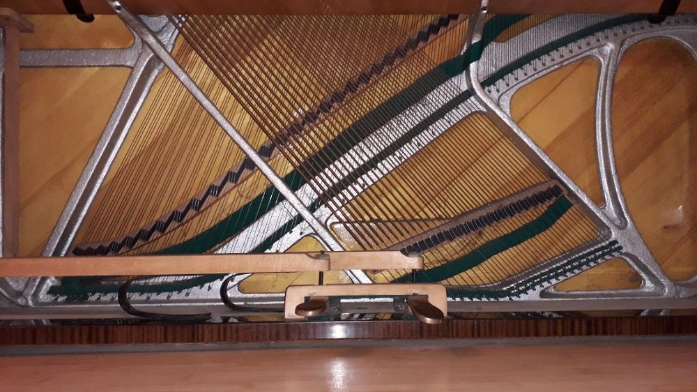Pianino Calisia