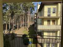 Apartament z cudownym widokiem na las