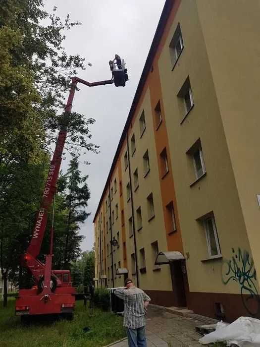 Wycinka drzew, wynajem zwyżki, przycinanie drzew, podnośniki koszowe