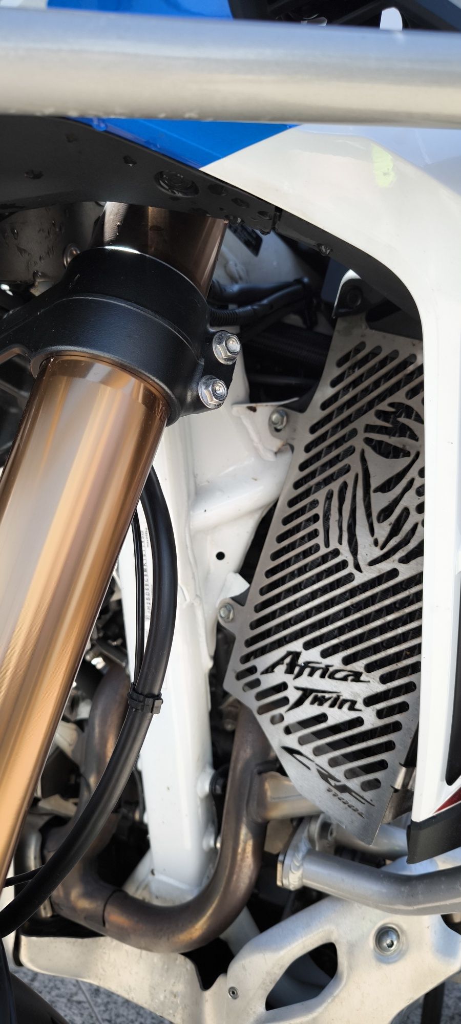 África Twin adv 1100