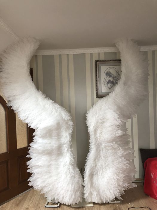 Продам крила для фотозони