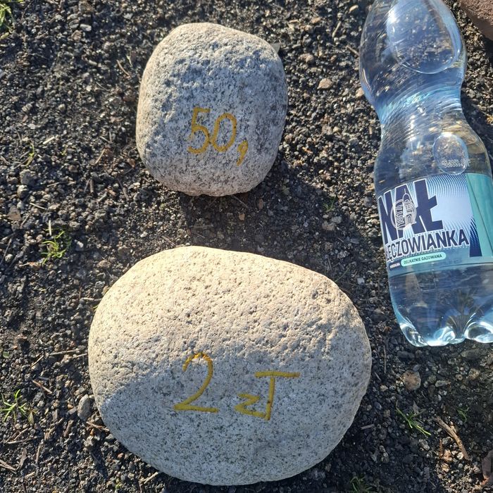 Kamień polny otoczak.