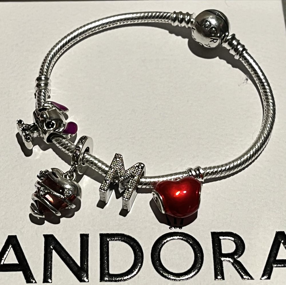 Bransoletka Pandora srebro 925 do charms
