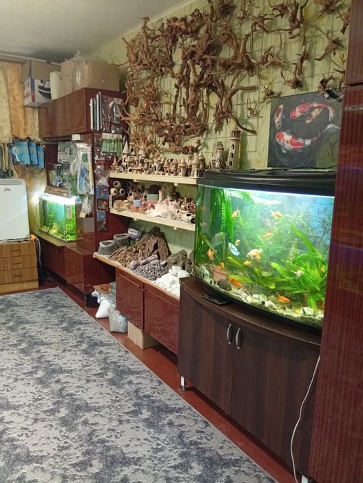 Все для акваріумістики