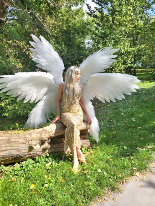 Крылья шестикрылого ангела