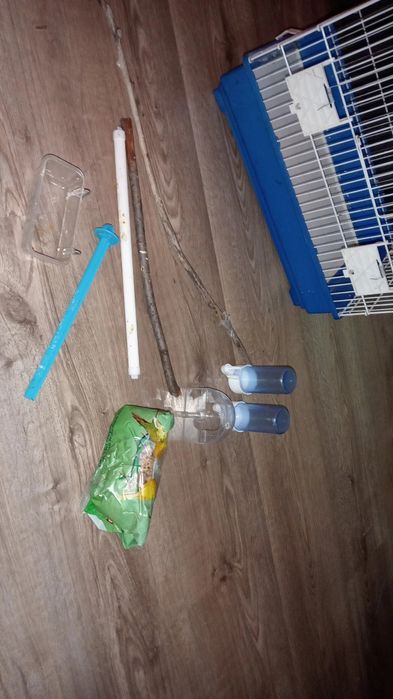 Viveiro+acessórios e comida