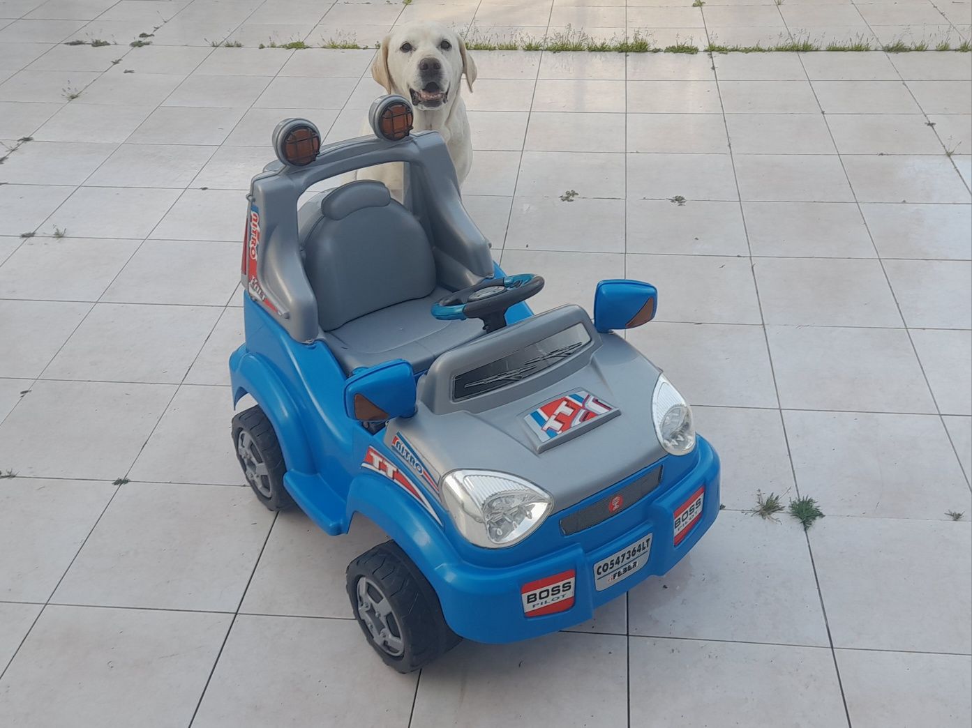 Carro elétrico para criança