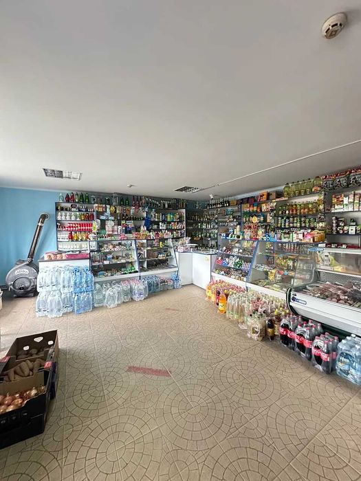 Продається діючий магазин с. Камінне з ділянкою 6 сот.