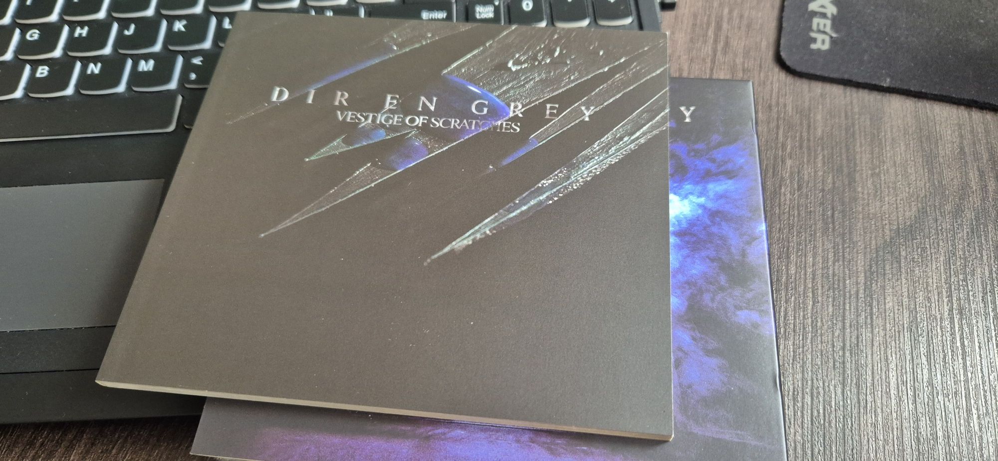 DIR EN GREY / Vestige of Scratches / jrock visual kei / Kyo sukekiyo