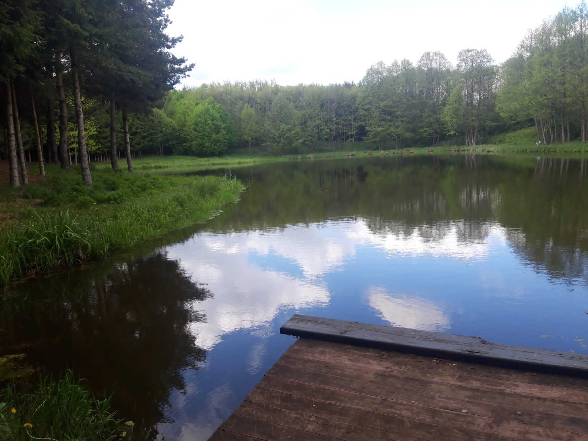 Dom letniskowy 2 nad jeziorem psy mile widziane plac zabaw,wędkowanie