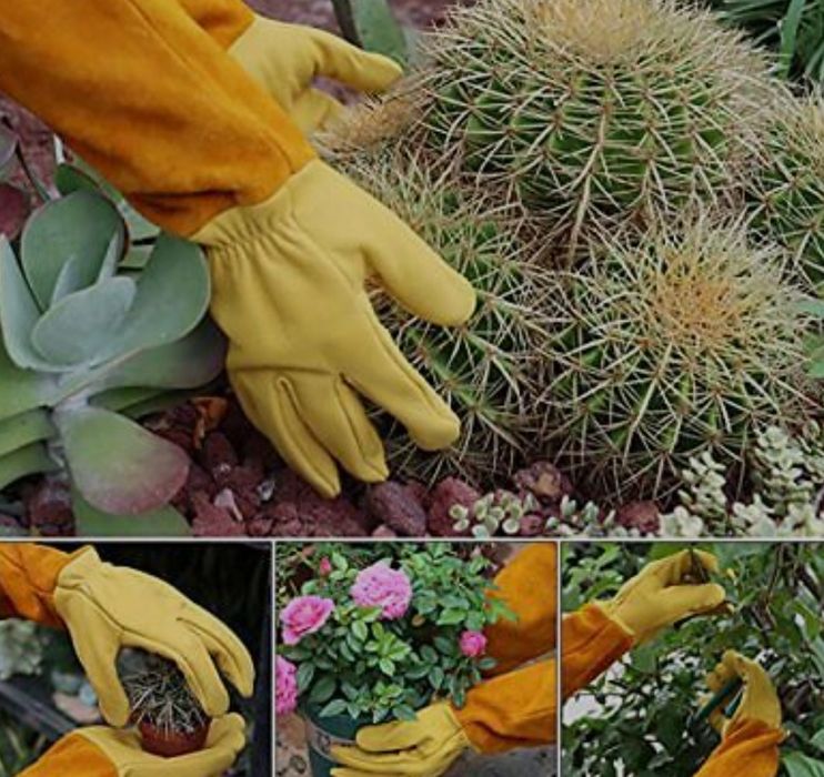 Садовые перчатки для работы с розами и колючими кустарниками..