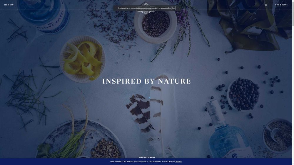 Сайт, приложение, криптопроект – от идеи до запуска