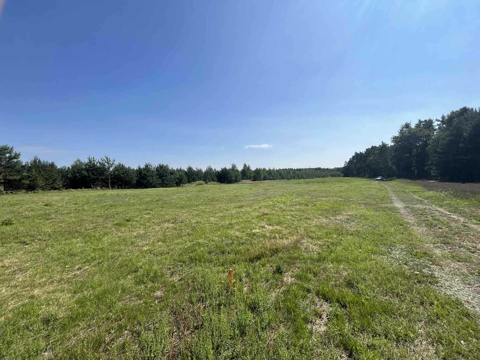 Działki budowlane ZALESNA (Gmina Bełchatów)