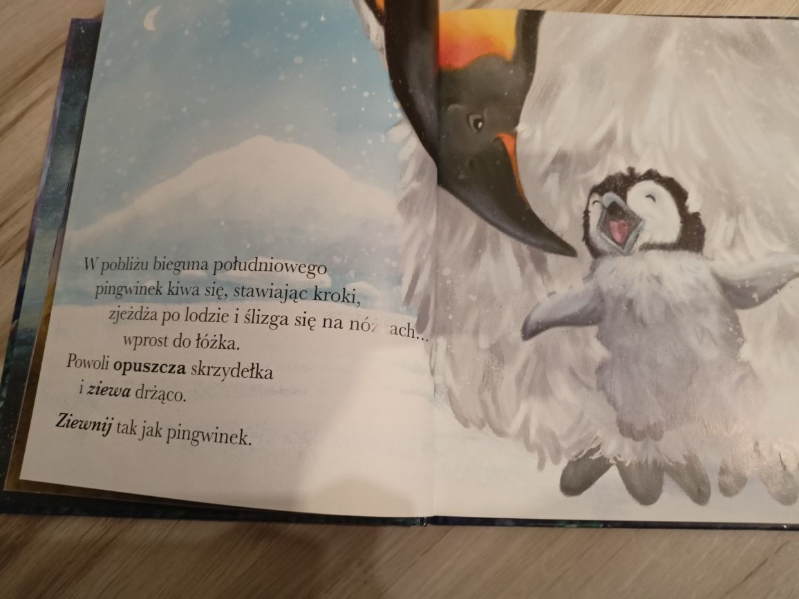 Ksiazka "Czytanka usypianka"
