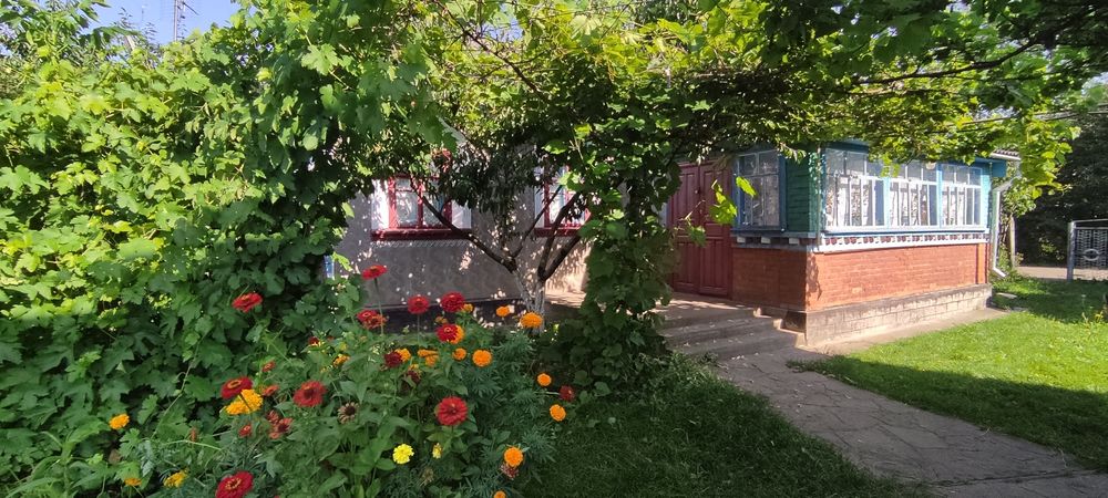 Дім/будинок/хата в с. Літки (біля м. Деражня)