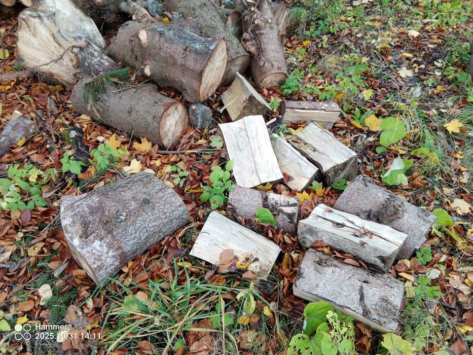 Drewno opałowe świerk