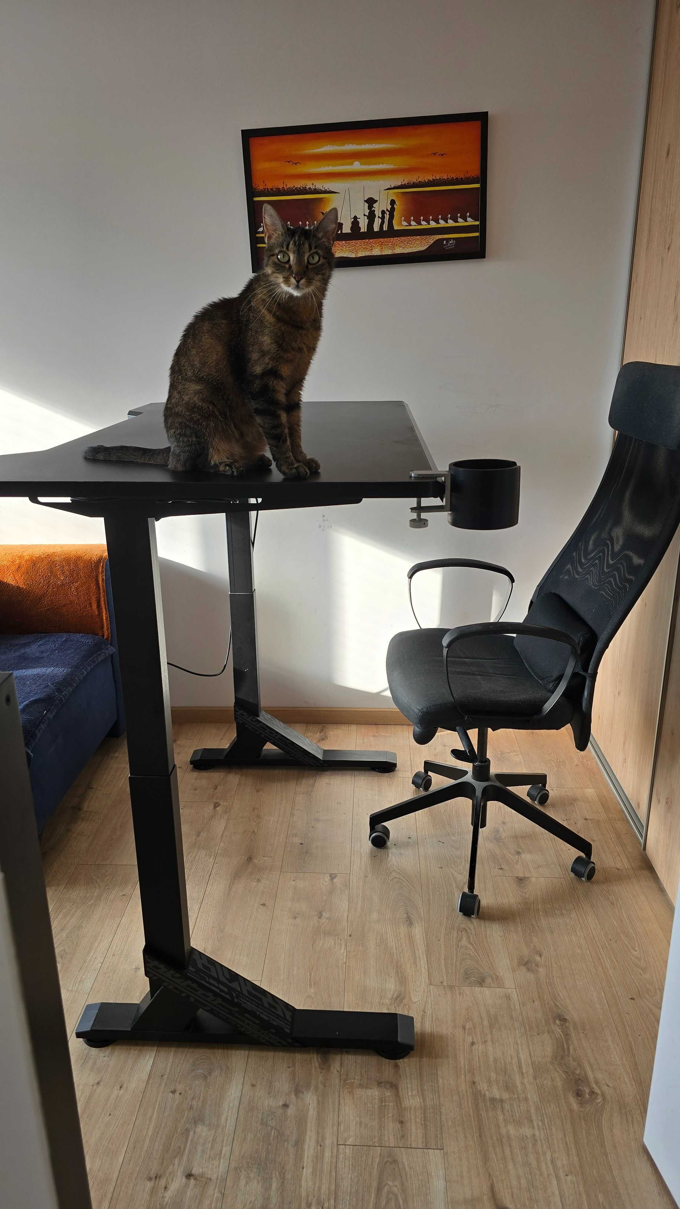 Biurko gamingowe Uppsel IKEA 140 cm x 80 cm