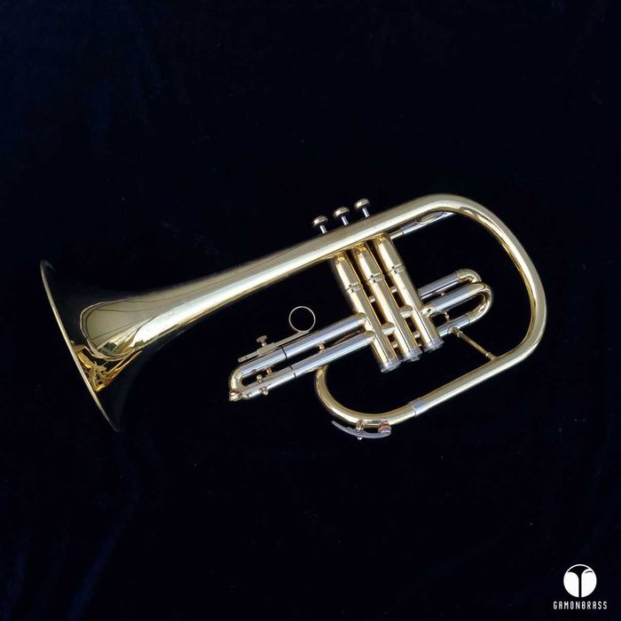 The Martin Committee flugelhorn Miles David Ahead ustnik gamonbrass