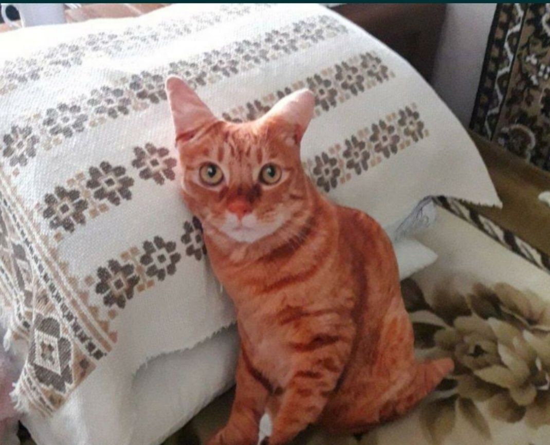 Подушка-игрушка 3д кот