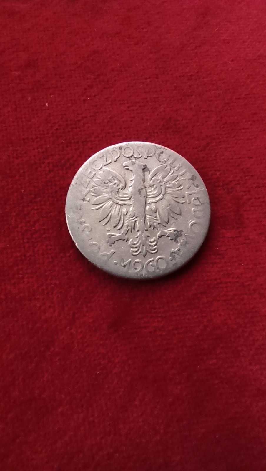 PRL, Moneta 5 złotych Rybak 1960r