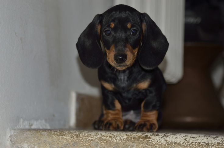 Маленькі тіні, що світяться добром