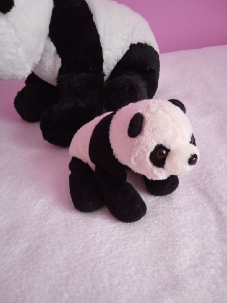 Duży miś panda plus gratis