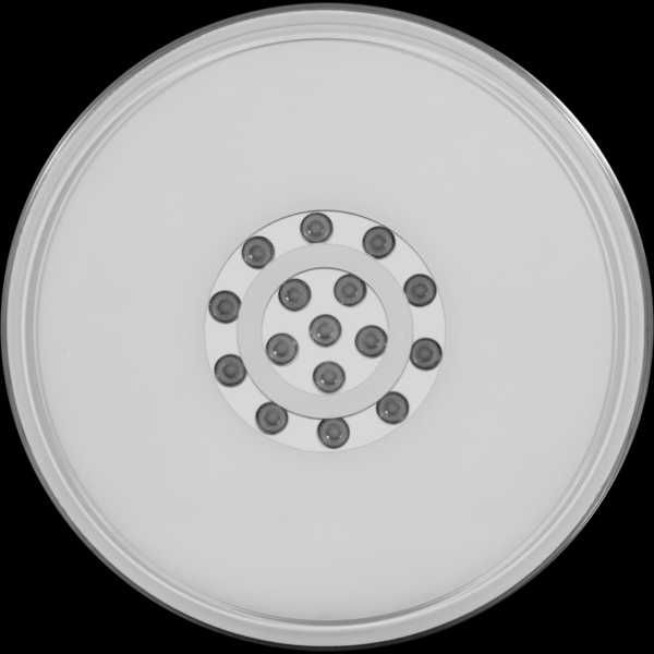 Настільний LED-світильник на акумуляторній батареї SMARTDISK