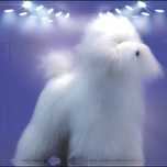 Manequim grooming Artero