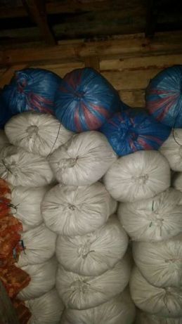 Trociny w workach sosnowe.