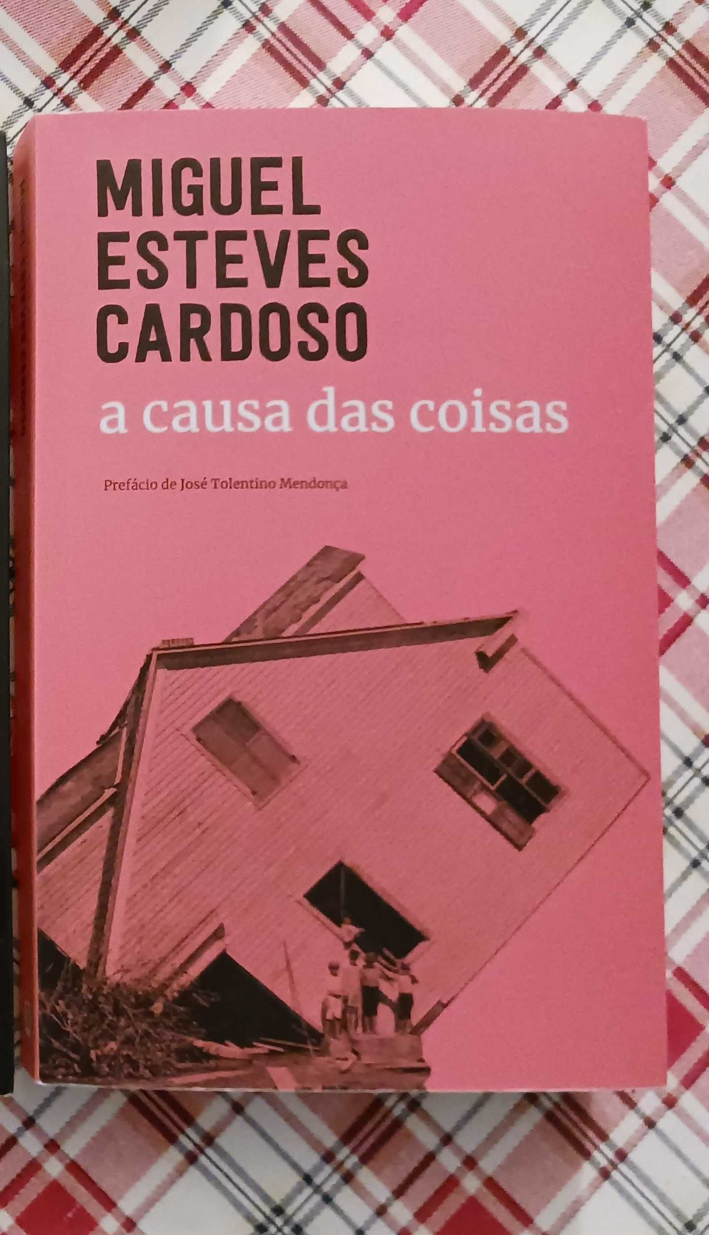 Miguel Esteves Cardoso - A causa das coisas